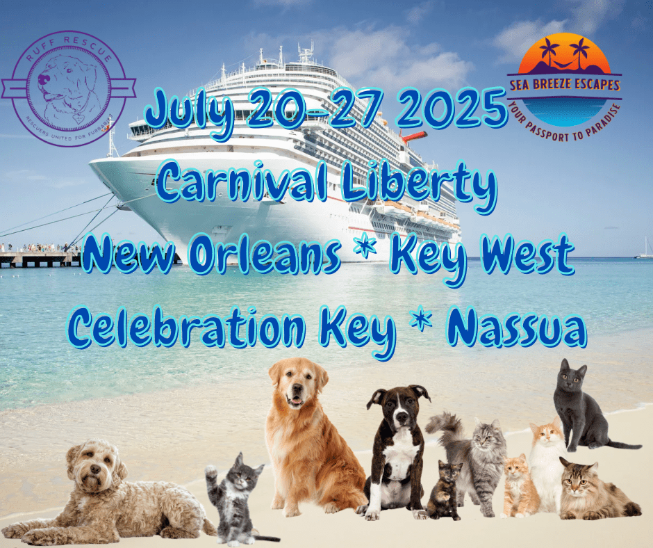 Set Sail with a Purpose: Join the Paws for a Cause Fundraiser&nbsp;Cruise!